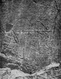 Петроглиф в Пеццане (слон)